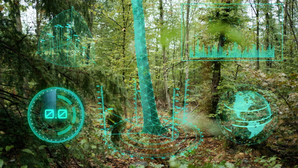 The photo shows a forest which is being scanned. The scanned plants and trees are marked in green.