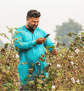 A farmer checks his cotton crop for diseases with his smartphone.